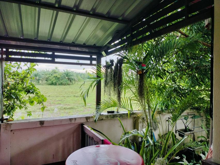 บ้านเดี่ยวโครงการบ้านหน้าสวนละงู จังหวัดสตูล 6
