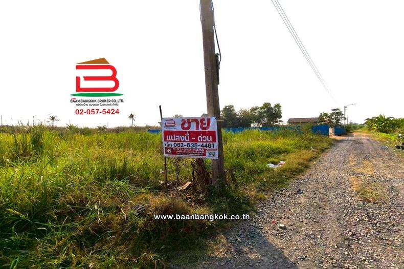 ที่ดินเปล่า เนื้อที่ 396 ตร.ว. หนองจอก-กระทุ่มราย (ซอยสุวินทวงศ์ 51) ถนนสุวินทวงศ์ แขวงกระทุ่มราย เขตหนองจอก(เจียระดับ) 3