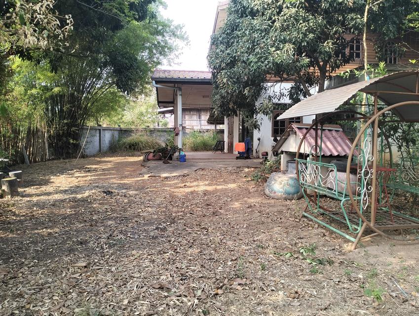 บ้านพร้อมที่ดิน ต.ละหาน อ.จัตุรัส จ.ชับภูมิ 3