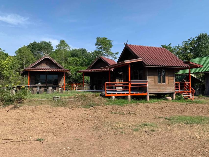 บ้านอิงลม ชมหมอก 2  วัดท่าซุงสาขา 9  วังน้ำเขียว 4 ไร่ 7.5 ล้าน 7