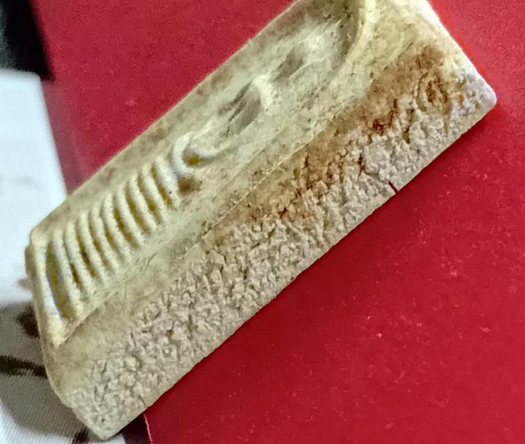 อกร่องหูบายศรี พ่อกวย รูปที่ 2