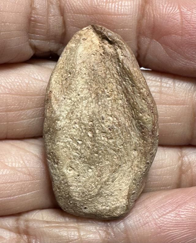 พระนางท่ามะปรางค์กรุวัดมหาธาตุ สุพรรณบุรี มีนวลดินเดิม