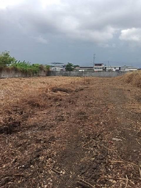 ขายที่ดินเปล่า ขนาด200ตรว ซอยบางกระดี่25 เหมาะทำโกดังหรือบ้าน ถนนพระราม2 บางกระดี่ บางขุนเทียน กรุงเทพ. 3