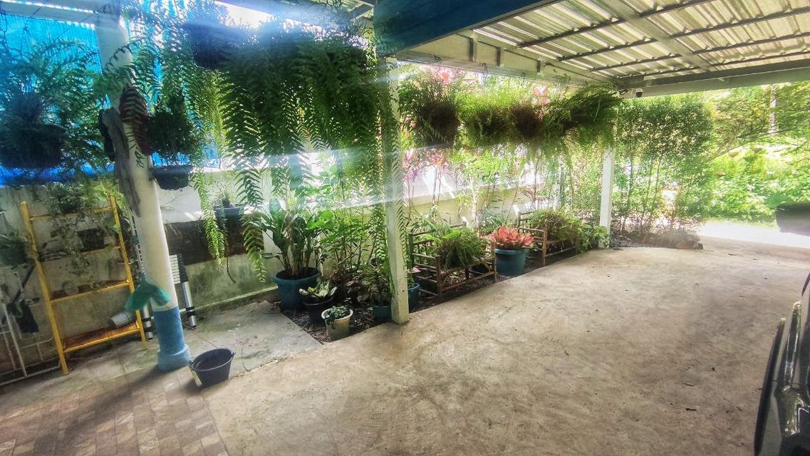 Koh Chang lovely 3bd 2ba House for sale รูปย่อยที่ 5