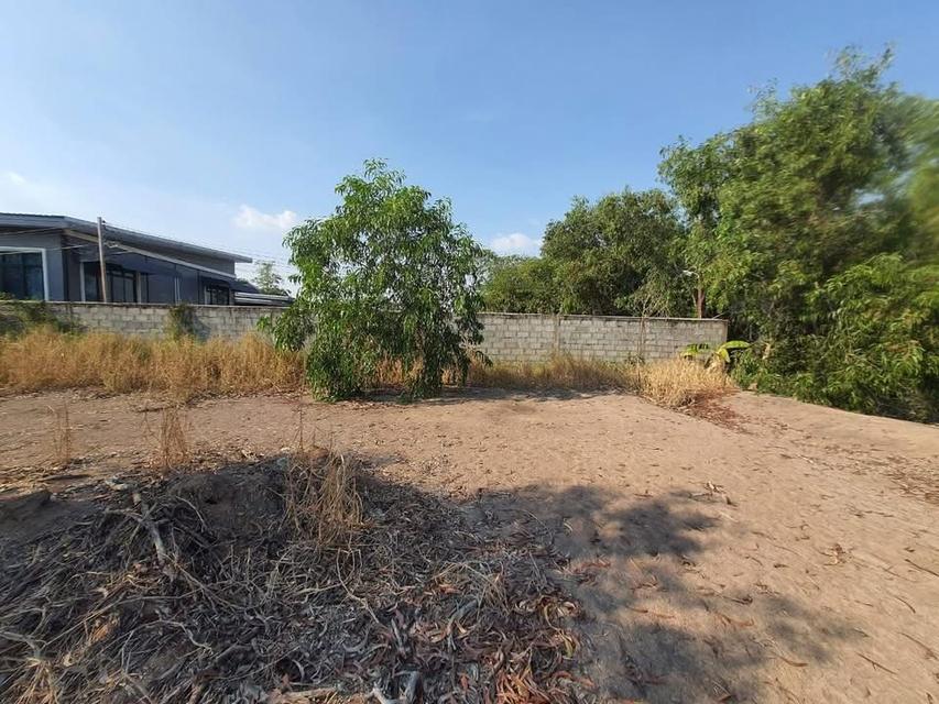 ขายด่วน !! ที่ดินคลองห้า 1 ไร่ ถมแล้วทั้งแปลง ติดถนนคอนกรีต กลั่นกรอง อ.คลองหลวง จ.ปทุมธานี 3