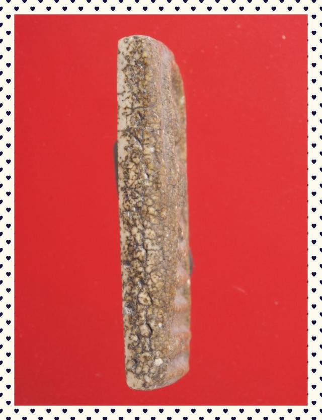 b19.พระสมเด็จ พระเบญจภาคี พระเครื่อง