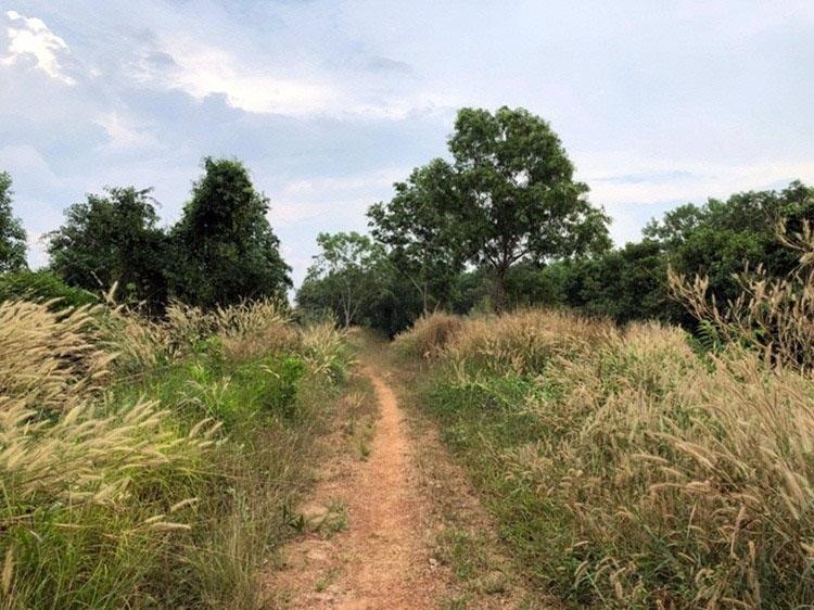 ขายที่ดินตราด ติดริมแม่น้ำเวฬุ  1,000 ไร่  ใกล้ถนนสุขุมวิท  3