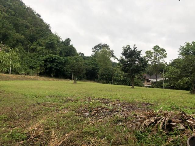 ขายที่ดิน 470 ตร.ว. แปลงมุม ในสนามกอล์ฟเซอร์เจมส์คันทรีคลับ Forest Hill มวกเหล็ก สระบุรี 4