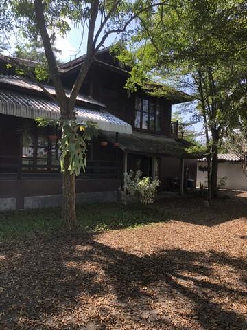 🏡 บ้านไม้ริมน้ำปิง พร้อมที่ดินผืนใหญ่ บรรยากาศธรรมชาติ 11