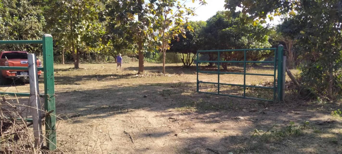 ที่โฉนดติดแม่น้ำวังพื้นที่ 5ไร่2งาน69ตรว.1.9 ล้านบาท (ฟรีโอน)ด้านในบริเวณที่ดินปลูกไม้สัก ลำไย มะม่วงที่ดินมี2ระดับชั้น ชั้นบนจะอยู่ระดับเดียวกับถน 16