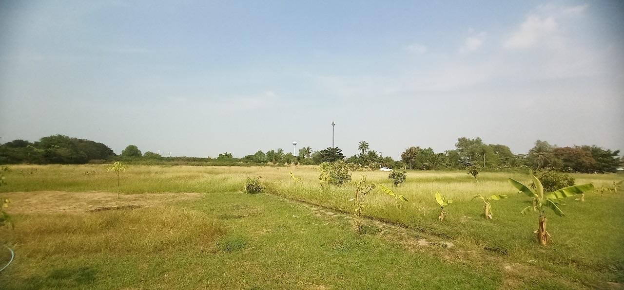 ขายที่ดินเปล่าถมแล้ว ติดถนนพระราม 2 ใกล้ทางด่วนกาญจนาภิเษก-วงแหวนอุตสาหกรรม 12