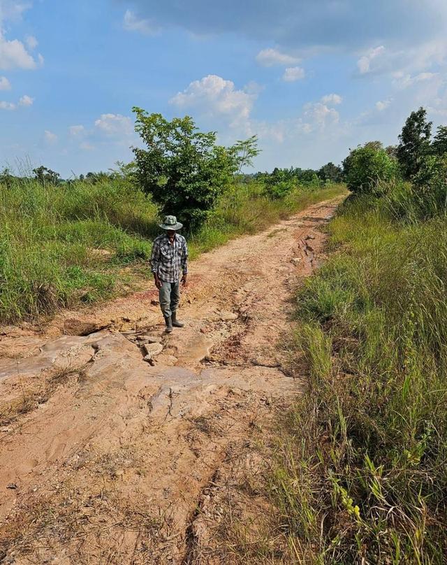 ขายที่ดิน โฉนด น.ส.3ก. อยู่ใกล้ชุมชนห้วยยายจิ๋ว อำเภอเทพสถิต ชัยภูมิ   4