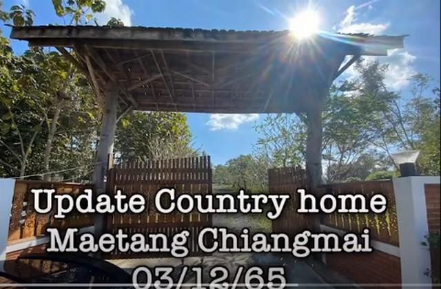 5 golden teak villas for sale on 16 rai of land Mae Taeng Chiang Mai country house style resort. mountain view peace 4