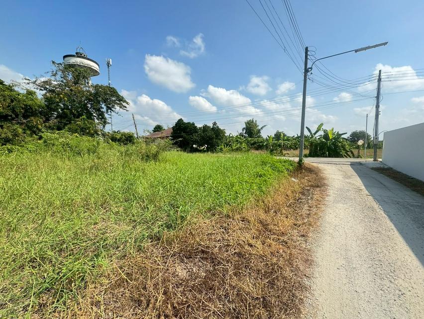 ที่ดินตำบลหนองช้างคืน จ.ลำพูน 6