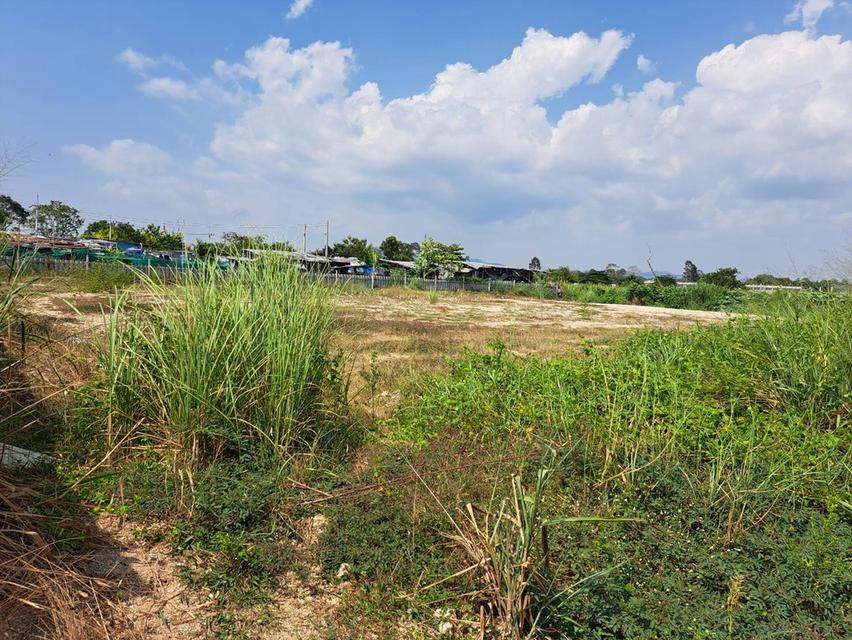 ขายด่วนที่ดินทำเลดี ศรีราชา จังหวัดชลบุรี 10