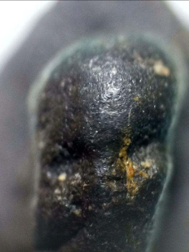 หลวงปู่ทวดเนื้อว่าน 2497 พิมพ์ชลูด 8