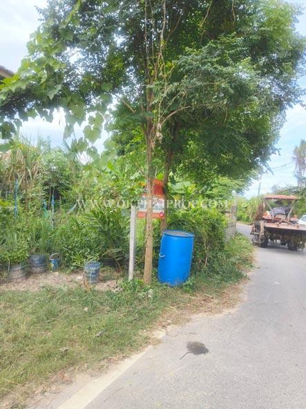 ที่ดินติดถนนพร้อมสิ่งปลูกสร้าง ต.นาวังหิน อ.พนัสนิคม จ.ชลบุรี 14