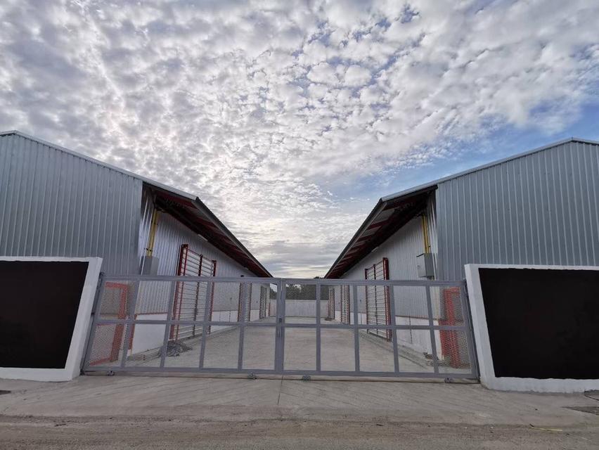 รหัส PNB008 โกดังให้เช่า/โรงงานให้เช่า/คลังสินค้าให้เช่า พิกัดบางบังทอง ทำเลดีใกล้ถนนบ้านกล้วย-ไทรน้อย จ.นนทบุรี 4