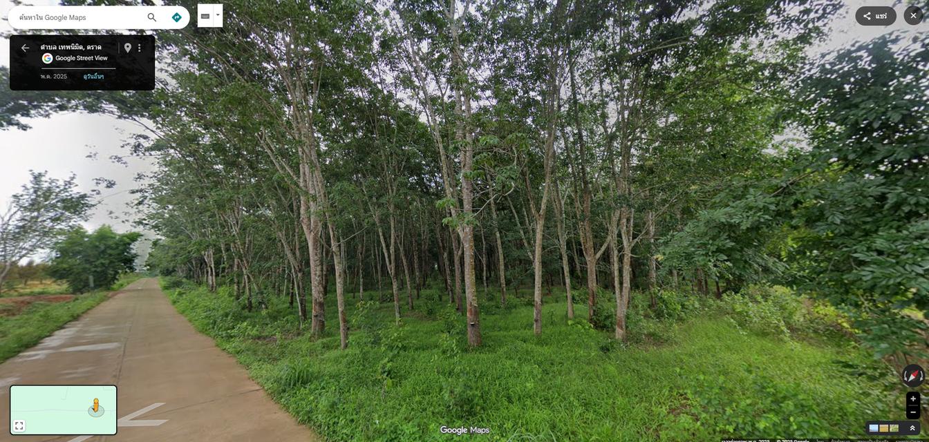 ที่ดินพร้อมสวนยาง อ.เขาสมิง จ.ตราด