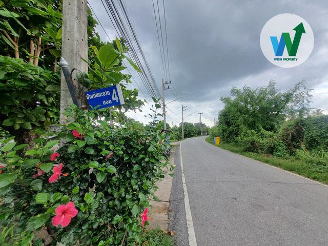ขายที่ดินแปลงใหญ่ ศิลาดาน มโนรมย์ ชัยนาท 8ไร่ 2 งาน 49 ตร.ว. มีน้ำไฟพร้อม ใกล้ถนนพหลโยธิน 10