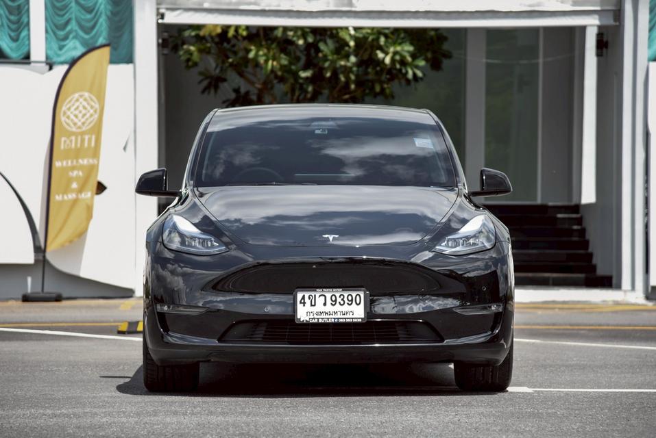 TESLA Model Y Long Range AWD AT 2023 2