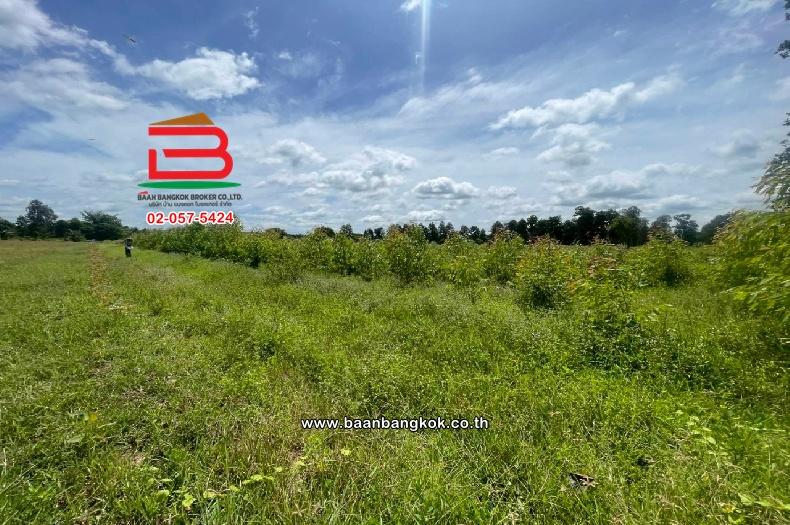 ที่ดินเปล่า หมู่บ้านโคกปราสาท เนื้อที่ 16-0-37 ไร่ (สามแยกบ้านยายพิมพ์, ใกล้โรงเรียนดอนหวาย) ตำบลหนองยายพิมพ์ อำเภอนางรอง บุรีรัมย์ 5