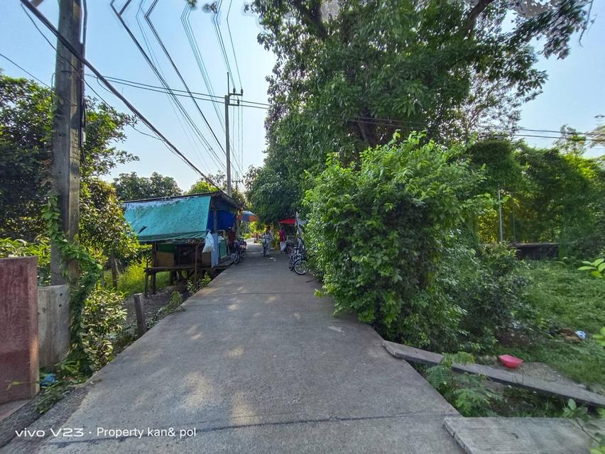 ขายที่ดินเปล่า ไม่มีสิ่งปลูกสร้าง เกาะเกร็ด ที่ดิน 7 ไร่ 1 งาน 13 ตารางวา 9