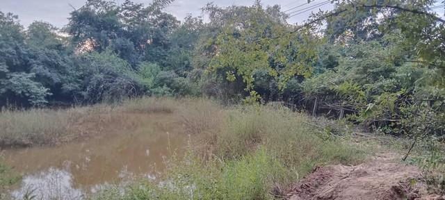 ใกล้ปีใหม่ดูทรัพย์มีมูลค่า ขายที่สวยติดทางหลวง1107 บ้านตาก จ.ตาก คมนาคมสะดวก ไร่ละ 300000 ต.ตากตก อ.บ้านตาก จ.ตาก 083712 6