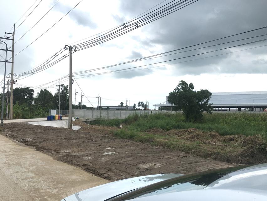 ขายที่ดินหน้าโกดัง Flash Express นครสวรรค์ ตำบลบ้านมะเกลือ อำเภอเมืองนครสวรรค์ เนื้อที่ 5-2-17ไร่ หน้ากว้าง 80เมตร 3