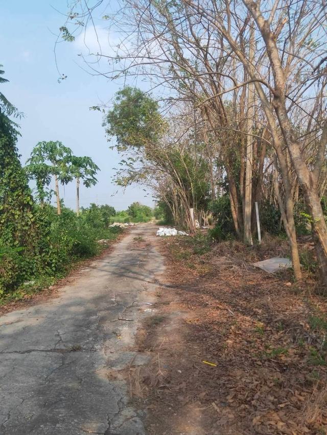 ที่ดิน 🏡 ขายที่ดินหนองจอก เนื้อที่ 2 ไร่ 0 งาน 01 ตร.ว. ใกล้สถานีตำรวจนครบาลประชาสำราญ 4