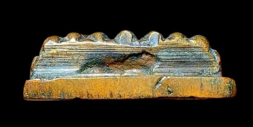 หลวงพ่อทวด หลังเตารีด พิมพ์ใหญ่ A ปี 05 รูปที่ 5