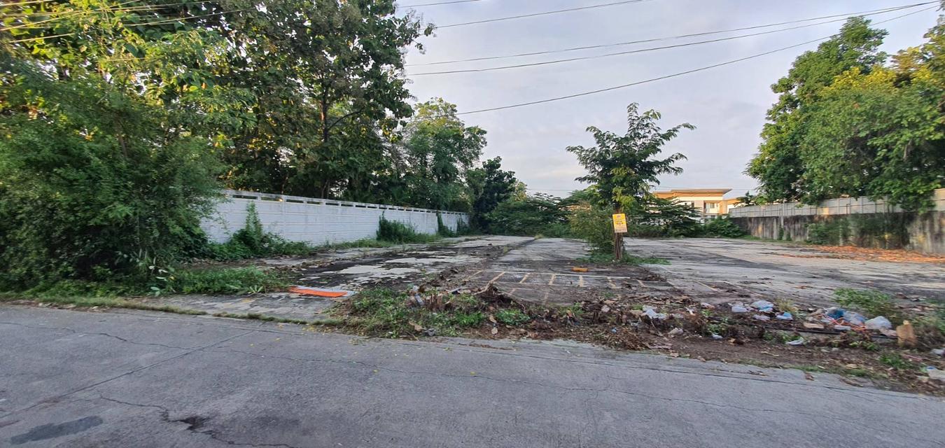 ขายที่ดิน 1 ไร่กรุงเทพกรีฑา, กรุงเทพ 1