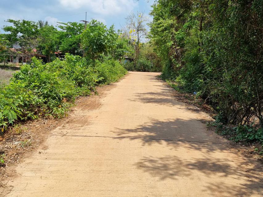 รูป ขาย-ให้เช่าที่ดินระยะยาว ใกล้ถนนหลวง 150 เมตร ติดถนนคอนกรีต 1 ไร่ 83 ตรว ราคาถูกมาก 2