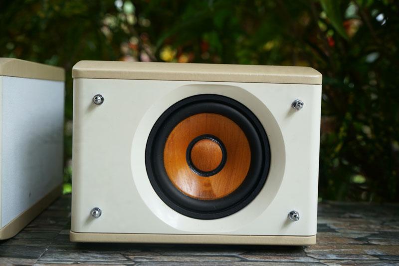 ลำโพง JVC-SP-EXS1-M กรวยไม้ (ตู้ขาว) -เล็กพริกขี้หนู 8