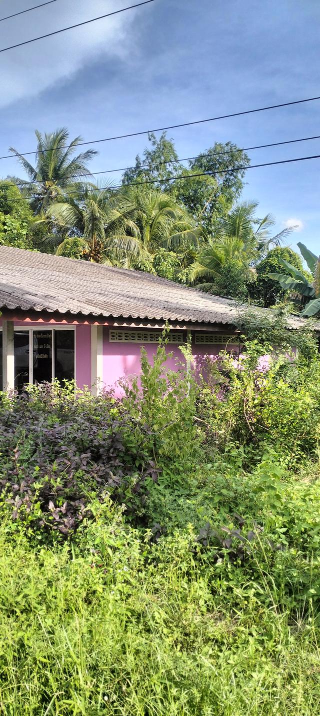 ที่ดินเปล่าทำเลทองติดถนน 6