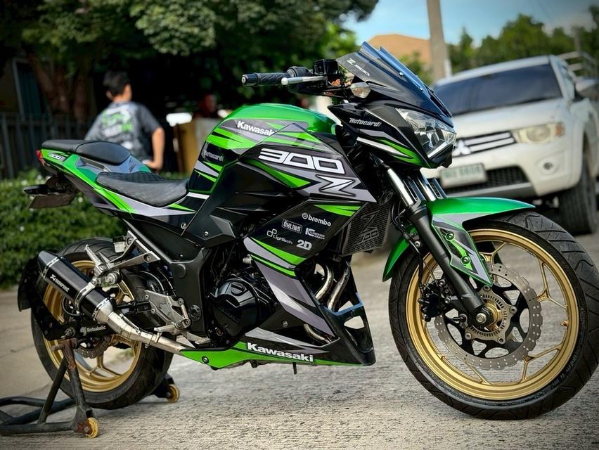 Z300