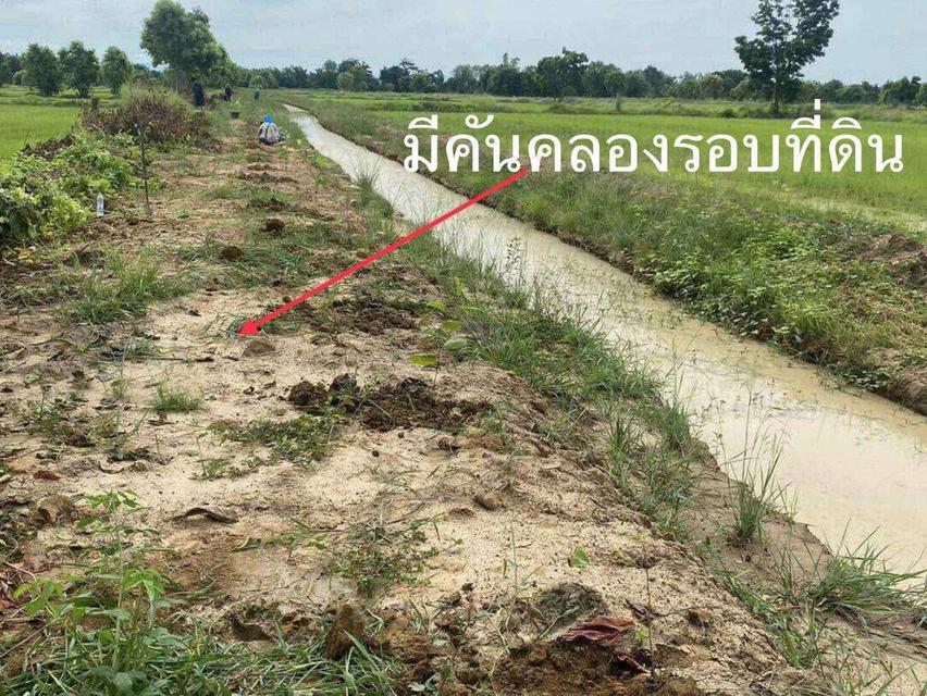 สวนเกษตรครบวงจร 52 ไร่ ราคาถูก อ.เมืองพิจิตร ขนาด 52 ไร่ 1 งาน 27 ตารา 13