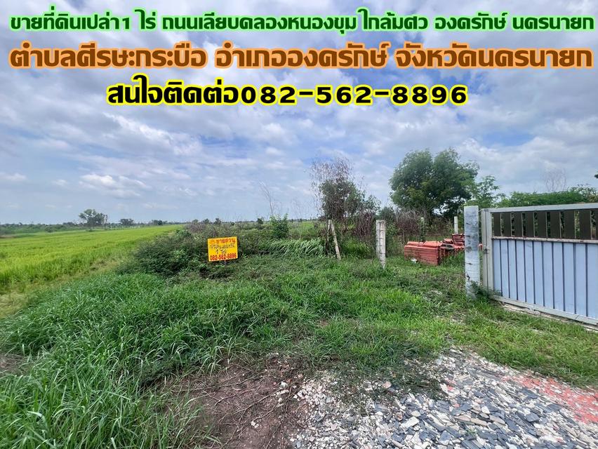 ขายที่ดินเปล่า1 ไร่ ถนนเลียบคลองหนองขุม ใกล้มศว องครักษ์ นครนายก 1