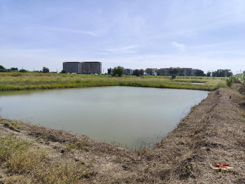 ขายที่ดิน 1-9 ไร่ กำแพงแสน นครปฐม land for sale Nakhon Pathom 3