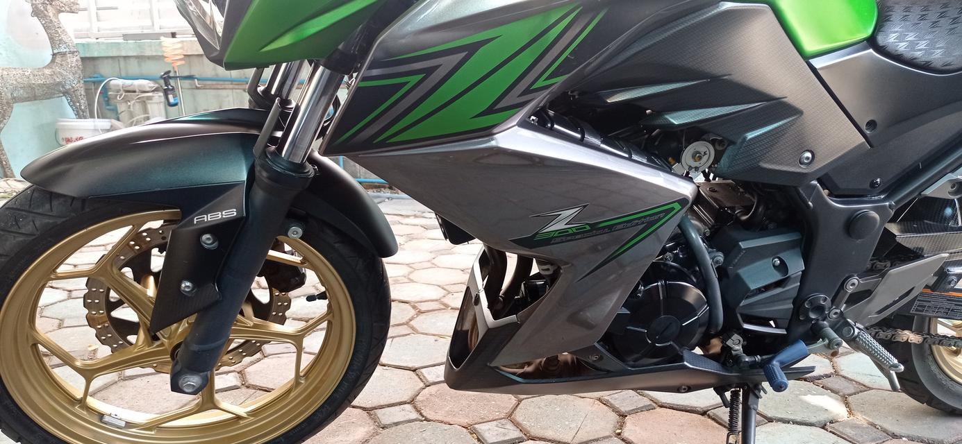 Z300 special limited edition abs 5