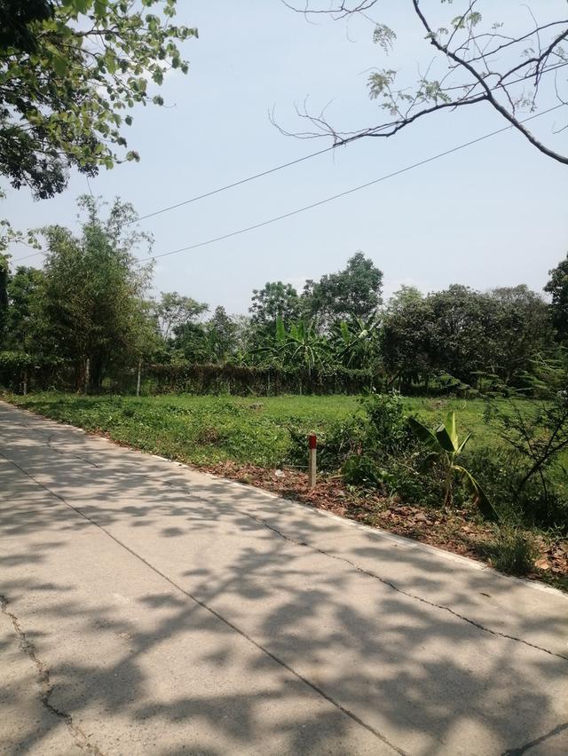 ขายที่ดินถมแล้ว 200 ตารางวา จังหวัดนครนายก 7