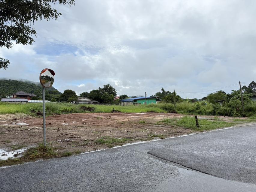 ที่ดิน 7