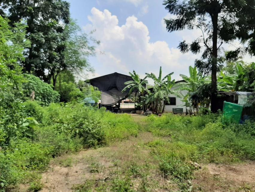 ให้เช่าร้านค้าทำเลดี ในอำเภอบ้านตาก  ติดถนนสายเอเชีย AH2  8