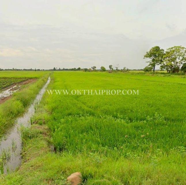 ที่ดินถมแล้ว คลอง 23 ใกล้อบต.ศีรษะกระบือ ถ.รังสิต-นครนายก องครักษ์ นครนายก 1