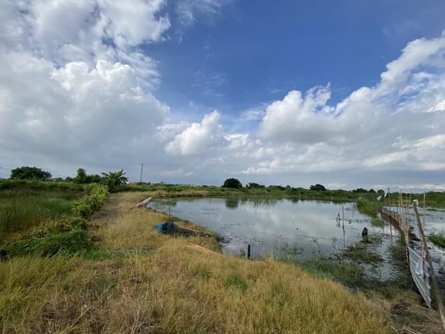 ขายที่ดินเปล่า ทำเลดี เจ้าของขายเอง ตำบลคลองด่าน อำเภอบางบ่อ สมุทรปราการ 7