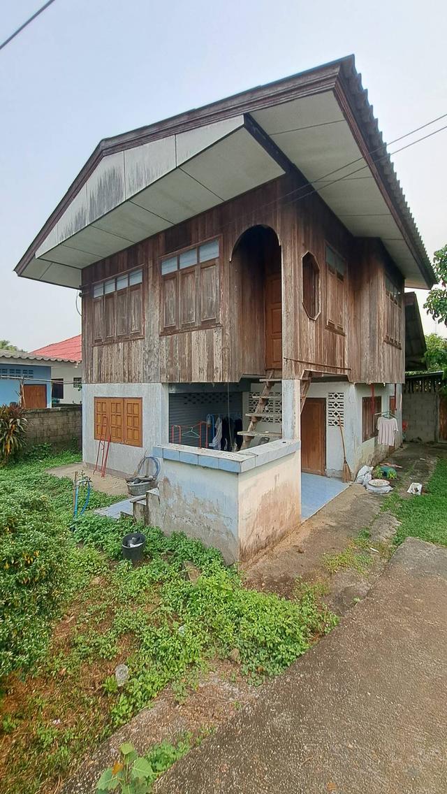 ขายบ้านตั้งอยู่ใจกลางตัวอำเภอเชียงดาว 3