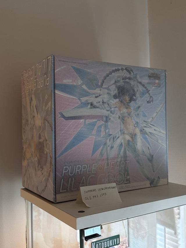 Figure 1/7 Hypertension Neptunia Purple Heart  2