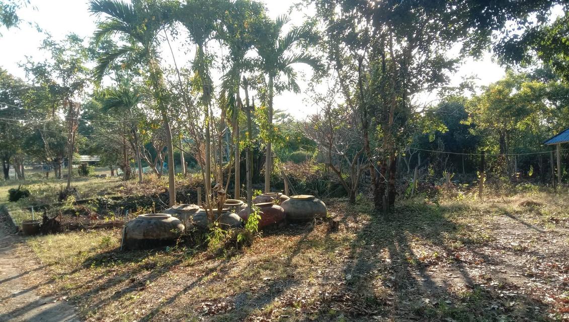 ขายบ้านพร้อมที่ดิน หลังติดเขา ต.เขาขลุง อ.บ้านโป่ง จ.ราชบุรี 4