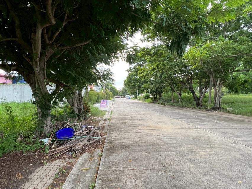 ขายที่ดินเปล่าถมแล้ว หมู่บ้านกรีนวัลเล่ย์ บางนา-ตราด กม.15 แปลงสวย ทำเลดี พร้อมสร้างบ้าน 9