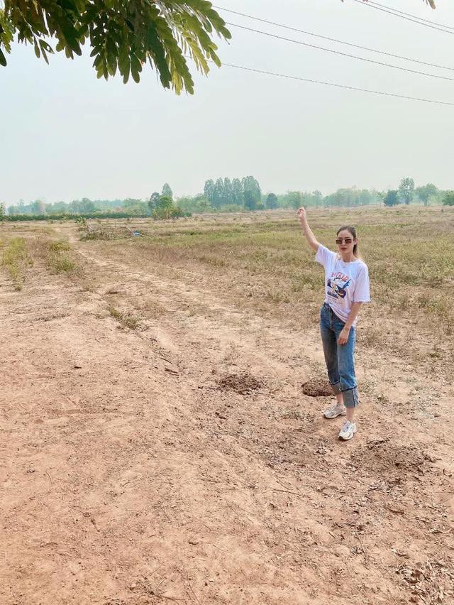 ที่ดินจังหวัดหนองบัวลำภู โฉนดฑรุตแดง 17 ไร่ 2